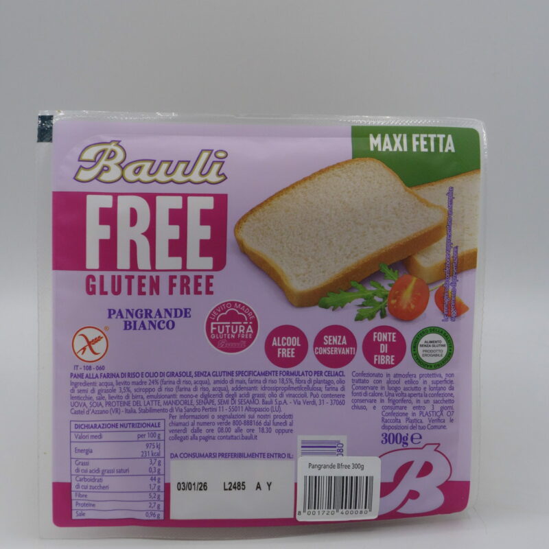 Pan Grande con Lievito Madre gr. 300 BAULI FREE